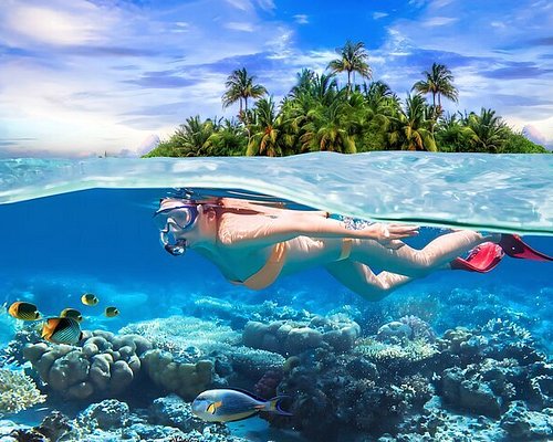 Snorkling by Pigeons Island and other popular places